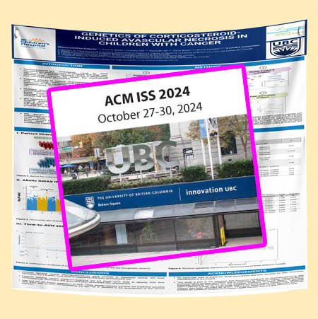 Vancouver Conference Poster - ACM ISS 2024