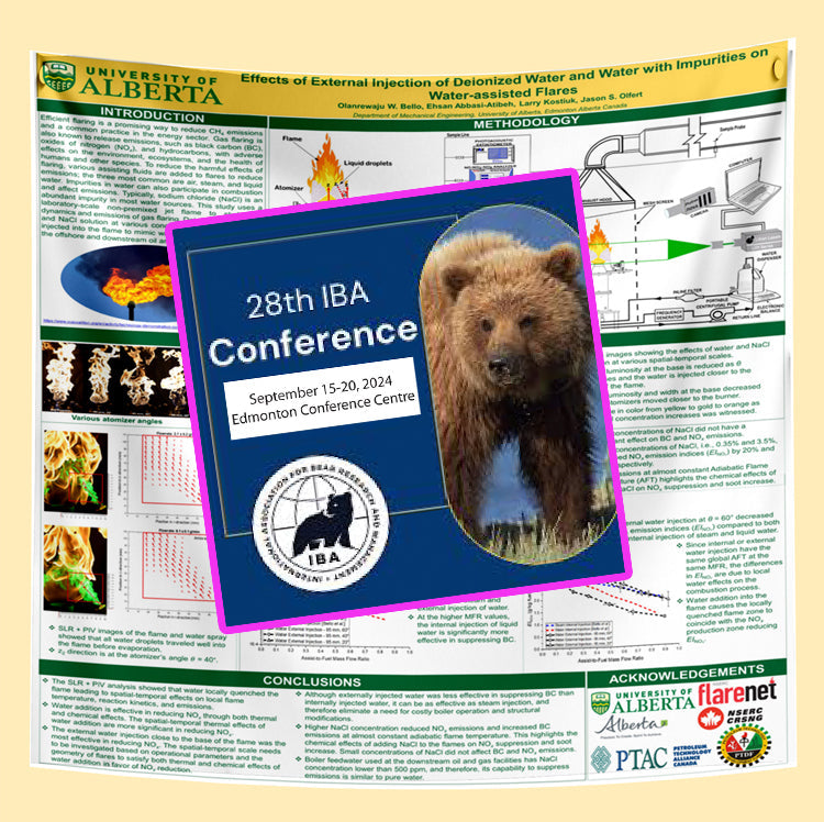 Edmonton Alberta Research Poster - IBA