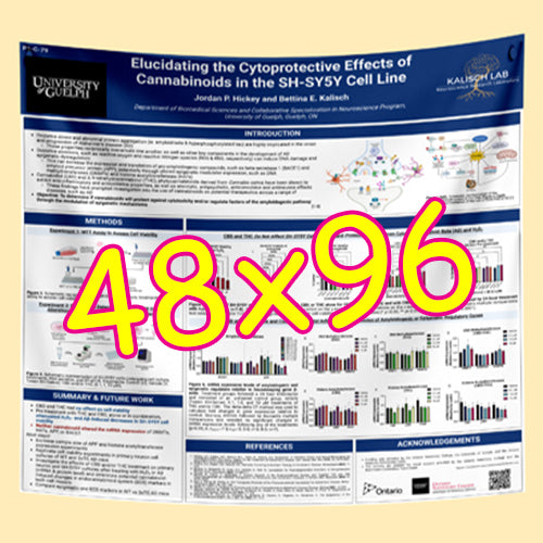 Cheapest Paper / Fabric Research Poster Printing in Ottawa 48x96 $170