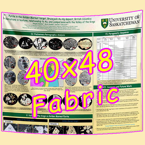 Fabric / Paper Research Poster Printing in Canada 40x48