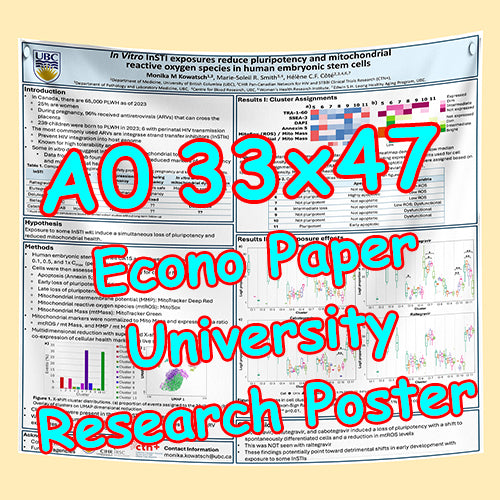 Cheapest UBC Econo Research Poster Printing in Vancouver (a0 33x47 Medium Paper) from $30