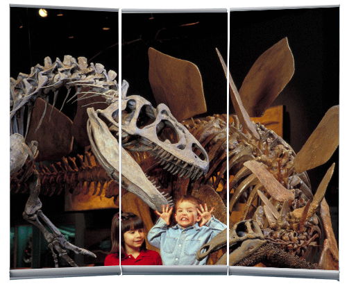 Extra-Wide Banner Display Panel (9 ft Display)