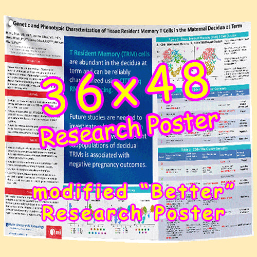 Cheapest Vancouver Fabric / Paper Research Poster 36x48 from $54