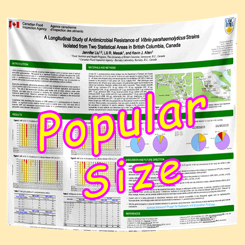 1-2 days RUSH Research Poster Med. metric A0 (33x47) - Paper/Fabric $60/70 (Van)