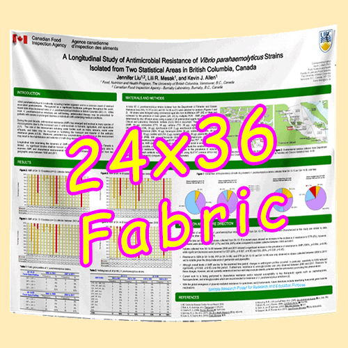 Fabric / Paper Research Poster Printing in Canada 24x36