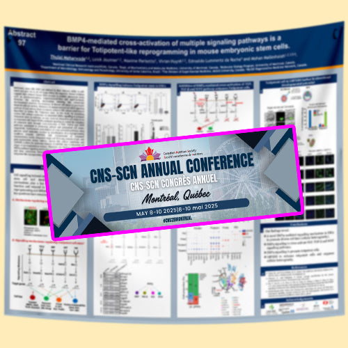 CNS-SCN 2025 Research Poster 42x42 Fabric/Paper Poster $90