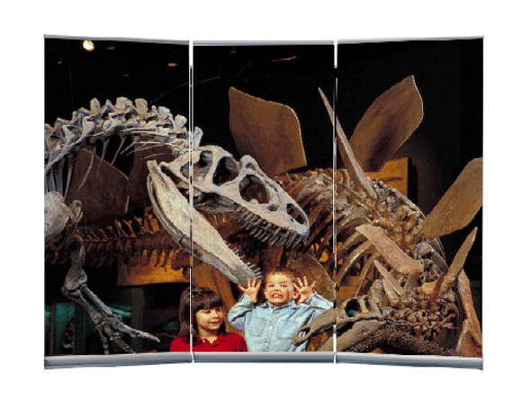 Extra-Wide Banner Display Panel (9 ft Display)