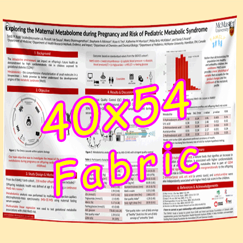 Fabric / Paper Research Poster Printing in Canada 40x54