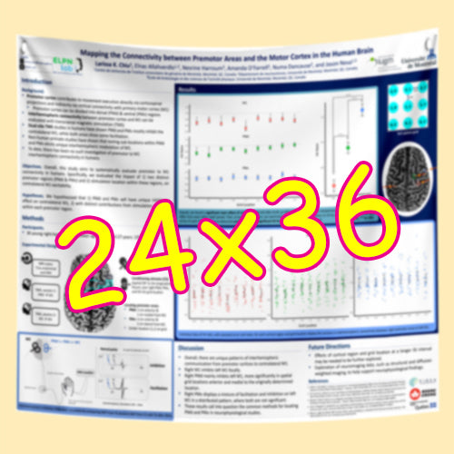 Cheapest Fabric & Paper Research Poster Printing in Montreal & Quebec 24x36 from $60