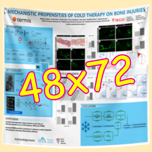 Cheapest Fabric & Paper Research Poster Printing in Montreal & Quebec 48x72 from $130