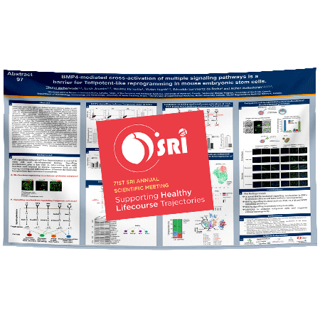 SRI Research Poster - Giant 48 x 96 in. Fabric / Paper