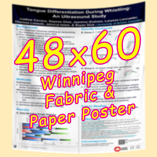 Winnipeg Paper & Fabric Conference Poster Printing 48x60 from $110