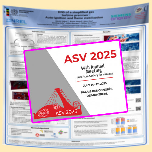 ASV 2025 Montreal Conference Research Fabric/Paper Poster 36x48 Downtown Pickup