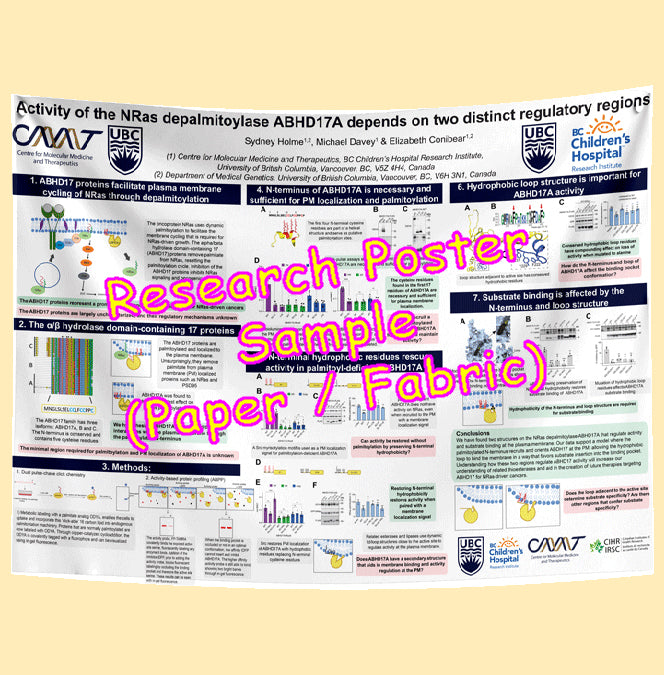 BCCHR Research Paper & Fabric Poster - $110 (48x60) Vancouver