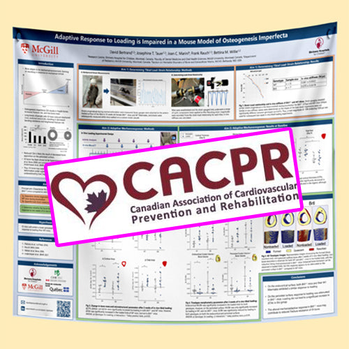 CACPR 2025 Spring Conference Calgary Research Poster A0-33x47 $70
