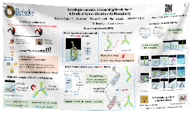 NMIN Large Research Poster - Large 48 x 96 - Paper / Fabric