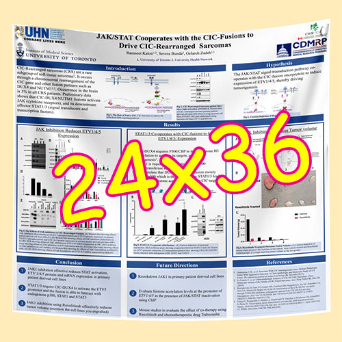 Cheapest Paper / Fabric Research Poster Printing in Toronto 24x36 from $55