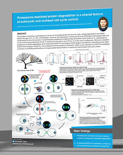 Research Poster (LARGE - 36 x 64)