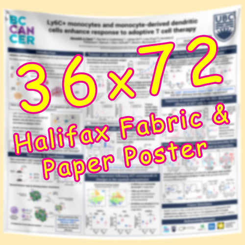 Cheapest Research Poster Printing in Halifax 36x72 from $120