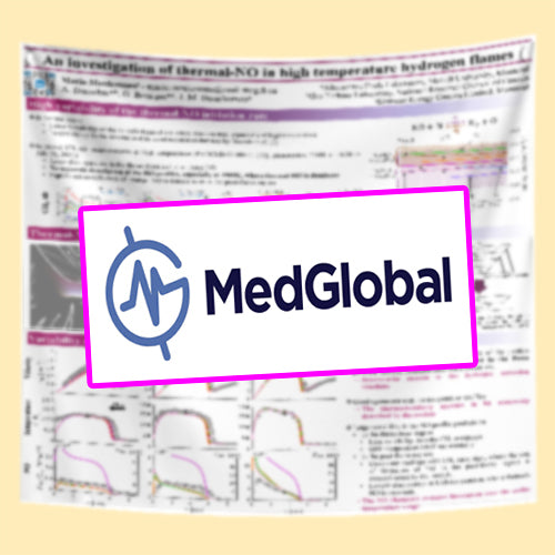 MedGlobal Poster - US Fabric Conference Poster 36x48 $45 usd (Discounted US Chicago Illinois Poster)