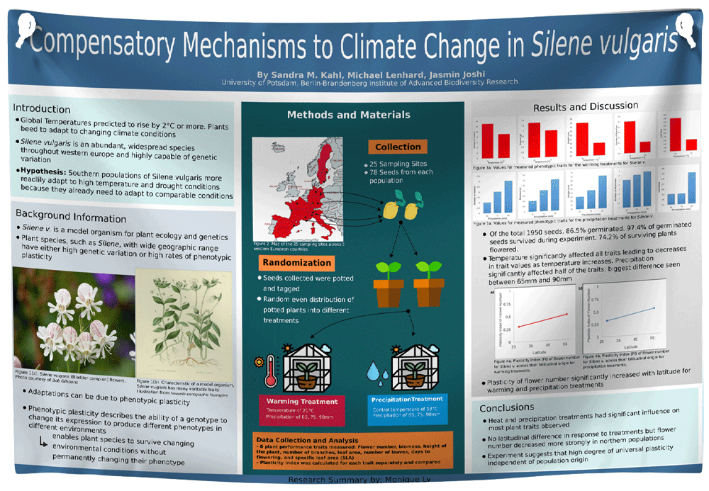 Winnipeg, Manitoba Research Poster 48x72 Paper / Fabric
