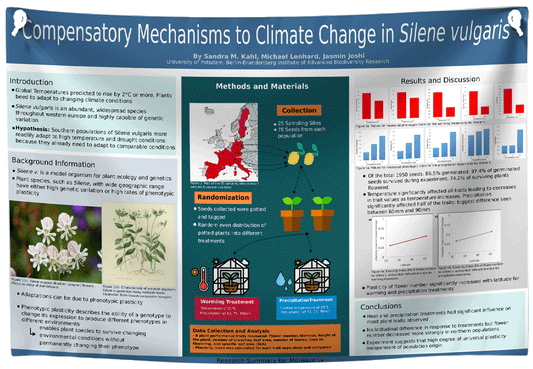 A Research Poster 48x72 Paper / Fabric Express Order