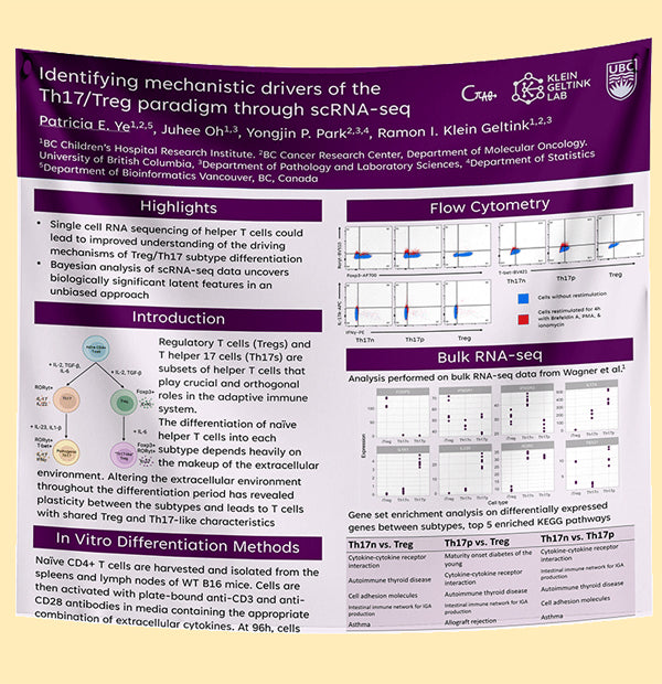 UNBC Research Paper & Fabric Poster $90 (45x45) Prince George