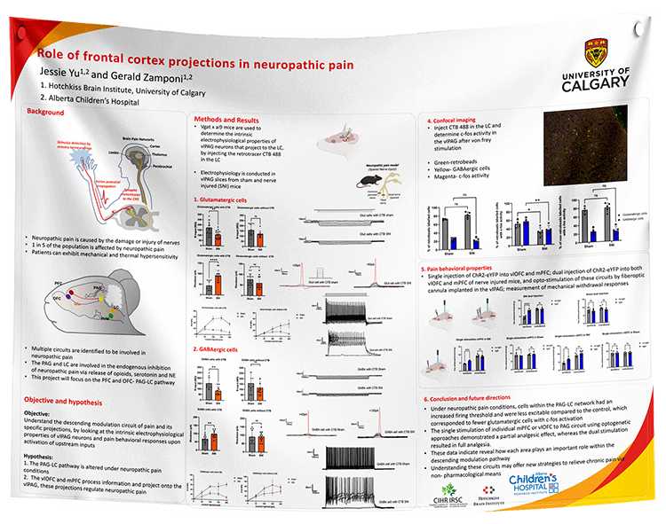Cheapest Research Poster Printing in Canada