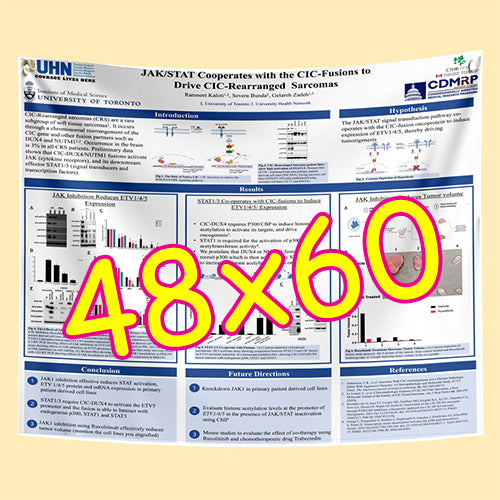 Cheapest Paper / Fabric Research Poster Printing in Toronto 48x60 from $110