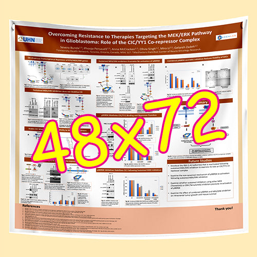 Cheapest Paper / Fabric Research Poster Printing in Ottawa 48x72 from $130