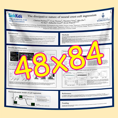 Cheapest Paper / Fabric Research Poster Printing in Ottawa 48x84 from $150
