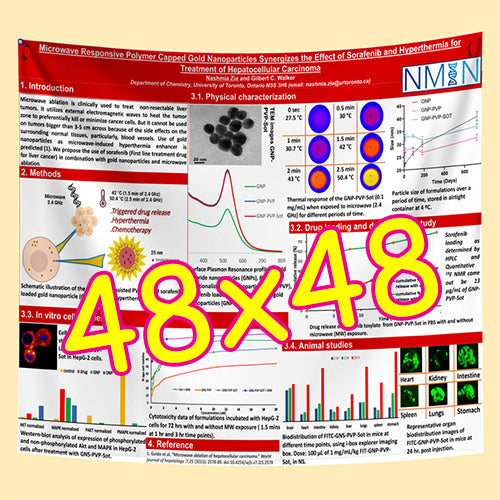 Cheapest Paper / Fabric Research Poster Printing in Toronto 48x48 from $90
