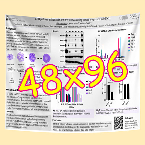 Cheapest Paper / Fabric Research Poster Printing in Toronto 48x96 from $170