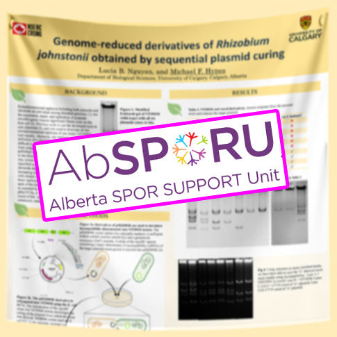 ABSPORU 2026 Edmonton Conference Research Poster Fabric / Paper 2026bb -may1213 Edm
