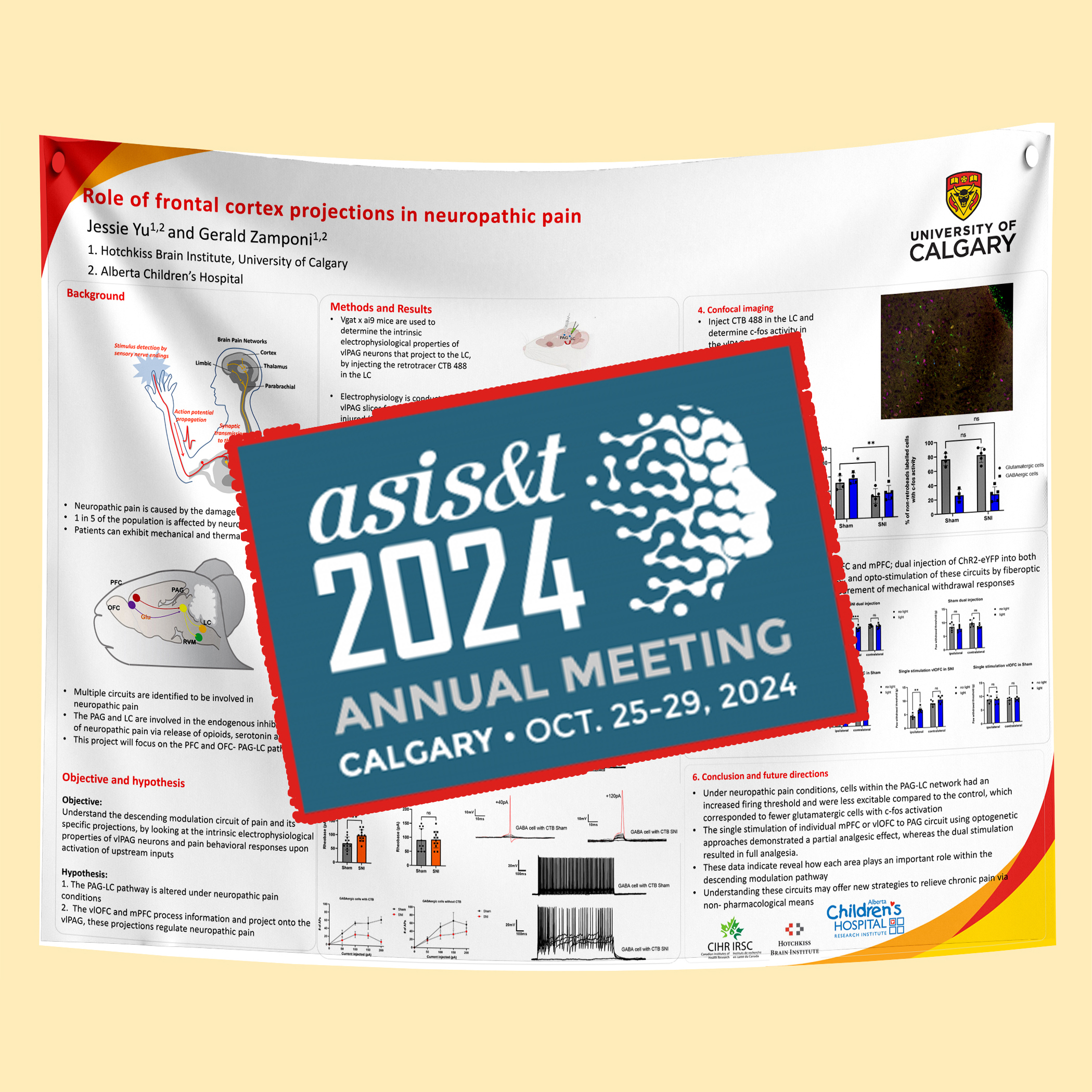 asis&t 2024 Research Paper & Fabric Poster Calgary from $70 (36x48 ...