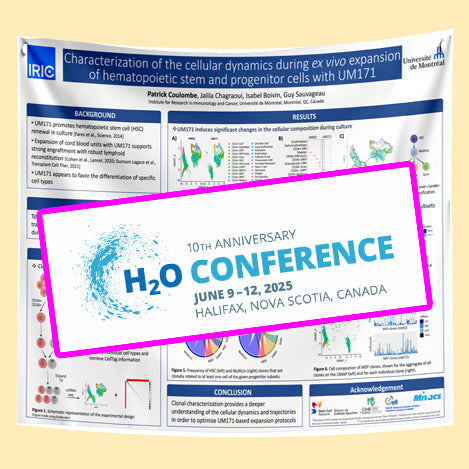 H2O 2025 Conference Research Poster (Paper / Fabric) .