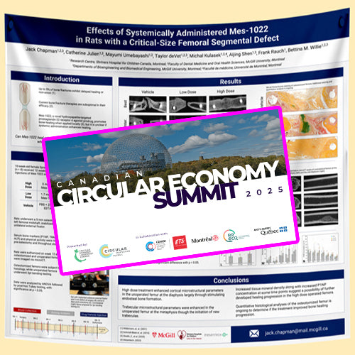 CCES 2025 Conference Research Poster Printing Montreal