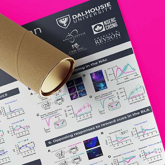 Dalhousie University Research Paper & Fabric Poster Express Order .