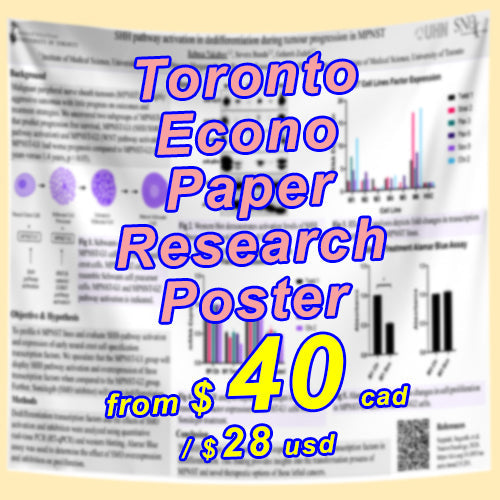 Cheapest Toronto Paper Econo Conference Research Poster from $40