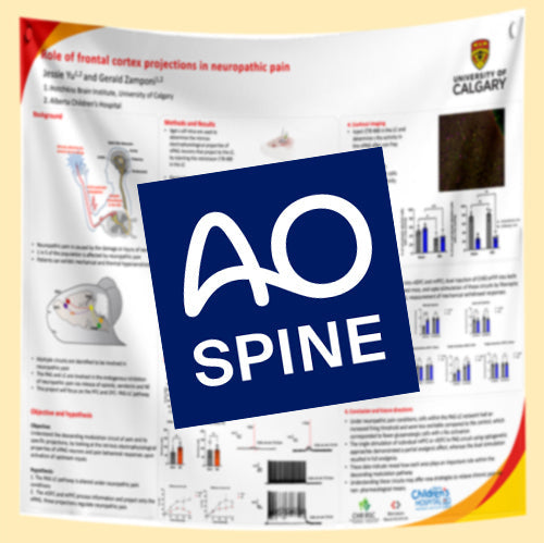 AO Spine Conference Research Poster Printing Banff Calgary