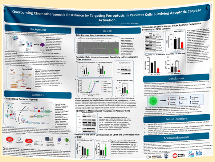 University of Northern BC (UNBC) Research Paper & Fabric Poster