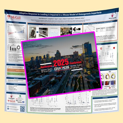 CEEA 2025 Conference Research Poster Printing Montreal