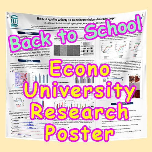 ECONO Back to school University Poster (ECONO Paper 36x48 from $30)