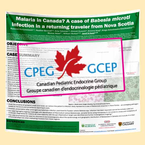 CPEG 2026 Edmonton Conference Research Poster - PAPER/FABRIC