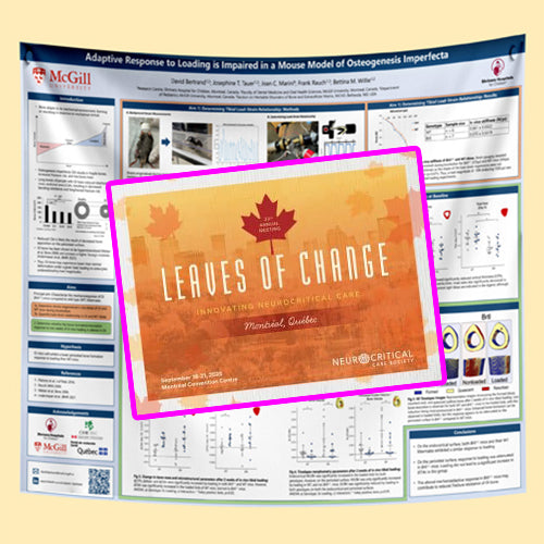 NCS 2025 Annual Meeting Conference Research Fabric / Paper Poster