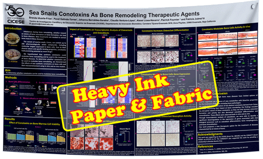 Ontario / Toronto Fabric / Paper Research Poster Large $170 (48x96)