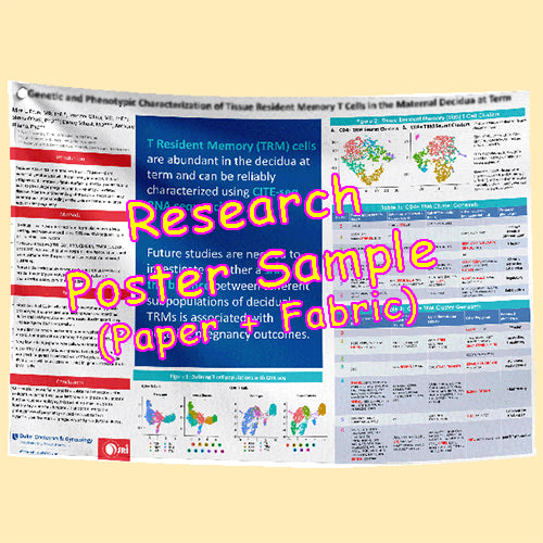 Paper Research Poster Sample