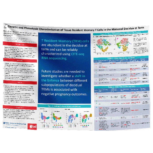 Neuroethics 2024 INS Annual Meeting - Fabric Poster 36x48 in