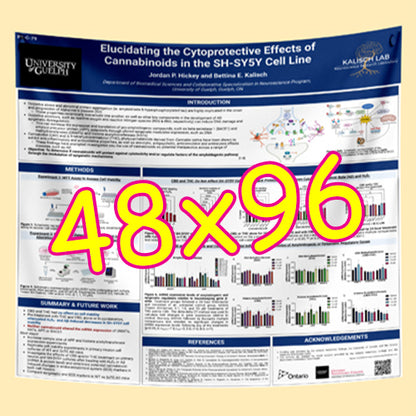 Cheapest Paper / Fabric Research Poster Printing in Ottawa 48x96 $170