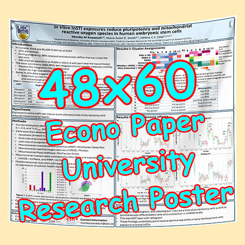 Cheapest UBC Econo Research Poster Printing in Vancouver (48x60 Medium Paper) from $70